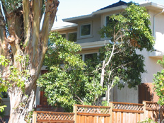 Kokish Residence.