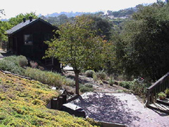 Tomishev Residence